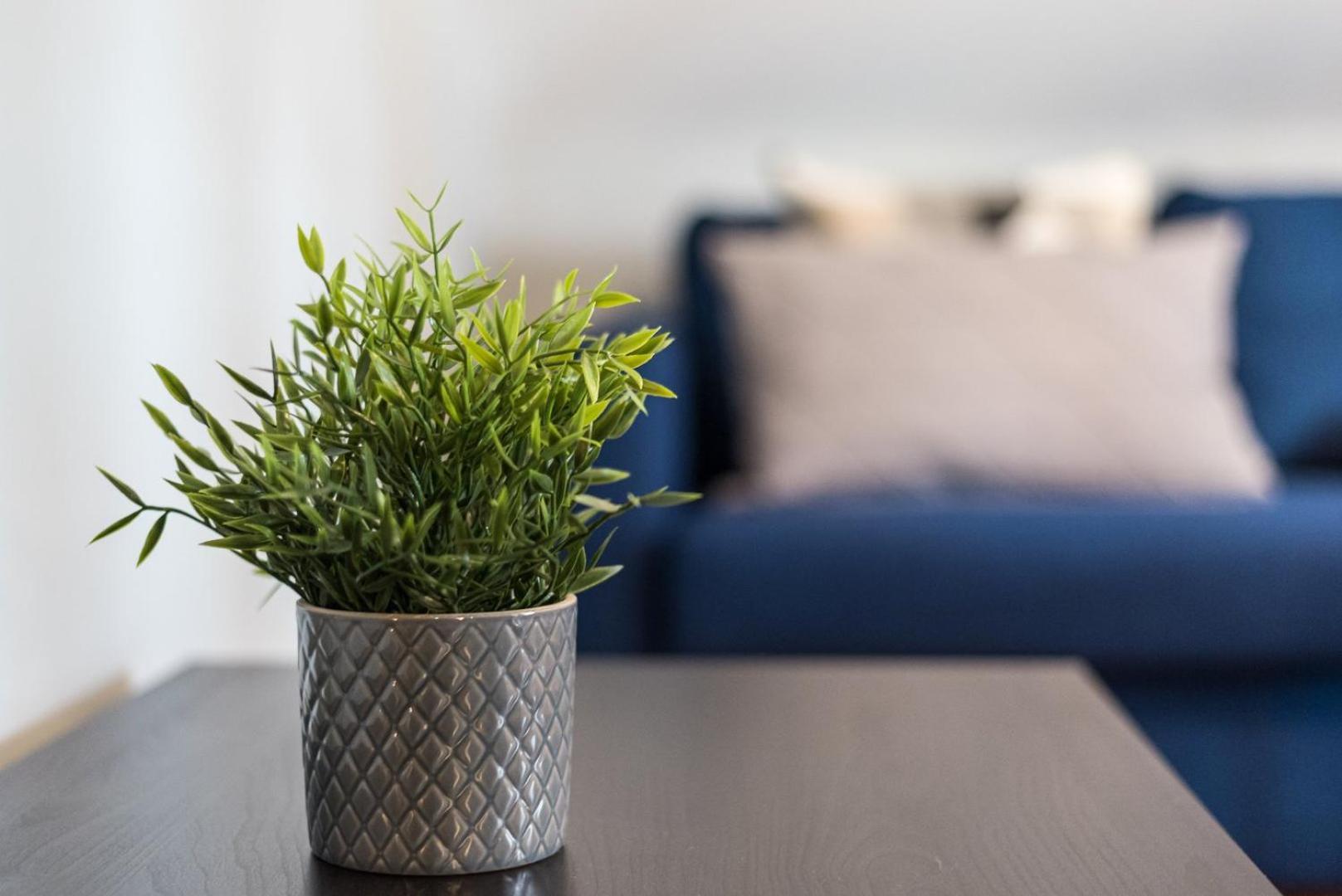 Guestready - Miragaia Rooftop Porto Dış mekan fotoğraf
